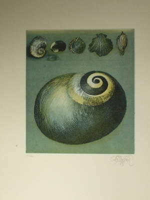 Jörg Schmeisser - Schnecken Außenseite