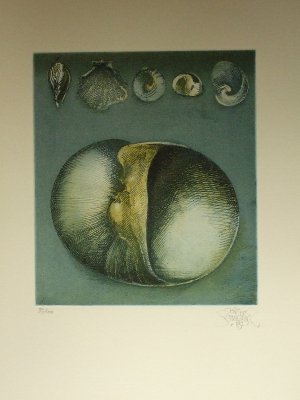 Jörg Schmeisser - Schnecken Innenseite